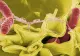 Legionella - bacteria care face ravagii în Polonia. Cinci oameni au murit, alte zeci au fost spitalizați în stare gravă
