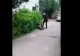 Bătrân bătut cu sălbăticie pe o stradă din Bârlad. Scena, filmată de fiul agresorului 