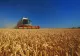 România a redevenit grânarul Europei. Ministrul Agriculturii promite 2,7 milioane de hectare irigate până în 2027: „Nimeni nu ne mai poate bate”