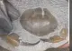 VIDEO – A găsit o piatră ciudată pe malul marii – După 200 de ore de muncă migăloasă a aflat ce se află în interiorul ei