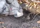 VIDEO – Un român a dat lovitură – A găsit în pământ ceva mai valoros decât aurul – Totul a fost filmat și clipul e viral