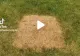 VIDEO – Iarba era uscată într-un loc din curte așa că s-a decis să sape pentru a află ce se află sub pământ – Surpriză uriașă