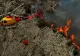 3000 de oameni evacuați dintr-un parc de distracții din Spania, în urma unui incendiu provocat de caniculă