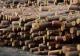 Noul JAF care se pregătește: privatizarea pădurilor - Mafia lemnului lasă România fără resurse