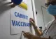 Peste 4.600 de persoane, vaccinate anti-Covid în ultima săptămână: câte reacții adverse s-au înregistrat 