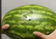 VIDEO – A tăiat pepenele pe jumătate – Ce a ieșit din el – Imaginile au devenit virale instant