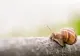 Prognoza meteo 10 iunie. Zonele lovite de grindină și vijelii