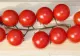 Adevărul despre roşiile cherry din supermarketuri. Ce sunt, de fapt. Mai cumperi?