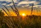 Prognoză meteo în București. Vreme caniculară în Capitală - Ce temperaturi vor fi până marți, 5 iulie