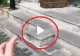 VIDEO – Motivul pentru care unele clădiri din București au această treaptă ciudată pe scările de la intrare – Puțină lume știe