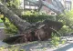 Tornada a făcut prăpăd în China. Rafalele de peste 200 km/h au răsturnat camioane de pe șosele