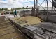 Criza alimentară. Cine îi va ajuta pe ucraineni să apere navele ce transportă cereale pe Marea Neagră