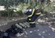 INCENDIU VIOLENT la un restaurant din Slobozia: sunt degajări mari de fum FOTO&VIDEO