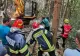 Incident tragic în Vâlcea. Un bărbat a murit după ce un copac s-a prăbușit peste el
