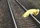 Un bărbat de 42 de ani S-A ARUNCAT în fața unui tren, pe ruta Cluj-Teiuș! Incident ȘOCANT