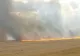 Incendiu devastator într-o cunoscută zonă vinicolă din Prahova. Au ars 10 hectare de vegetație uscată, dar și viță de vie