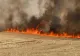 Coumună de pe DN1, devastată de incendii. Au ars aproape 60 de hectare de vegetație