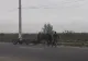 PEDEPSE uriașe pentru persoanele care MALTRATEAZĂ cai! Două incidente șocante de la Iași și Suceava, virale pe internet