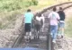 Cale ferată, BLOCATĂ de doi ponei și un măgar! Animalele, scoase de pe șine de pasageri - VIDEO
