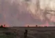 INCENDIU MASIV în județul Olt: 10 hectare de vegetație și un hectar de lan de grâu, mistuite de FLĂCĂRI - VIDEO