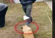 VIDEO – Cățelul Bobiță a devenit viral pe internet după ce s-a enervat rău pe un tânăr care a întins un picior către el – Imaginile care te fac să razi cu lacrimi