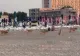 Imagini virale pe o plajă din Mamaia. În absenta turiștilor, MAIDANEZI fac legea - VIDEO