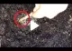 VIDEO – A observat că ceva se mișcă, așa că a dat pământul la o parte cu un bat. Ce a putut să descopere