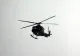 Un elicopter s-a prăbușit - Nu există supravieţuitori - Cadavrele victimelor au fost mâncate de urși