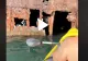 VIDEO – Un tânăr a intrat cu caiacul în interiorul epavei de la Costinești – Imaginile sunt fabuloase și au devenit virale
