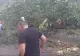 VIDEO | Cod roșu de furtuni. Vijeliile au făcut prăpăd în țară
