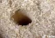 VIDEO – Experimentul inedit al unui român – A făcut o gaură în mijlocului unui butoi plin de rumeguș – La ce folosește