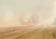 Incendiu uriaș în Alba. Un utilaj agricol a luat foc, ard 10.000 de metri pătrați. Pompierii intervin de urgență - FOTO&VIDEO