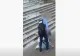 Un tânăr, îngenuncheat și bătut cu bestialitate de un polițist - Imagini revoltătoare -Video