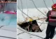 Momentul în care un crater s-a format în interiorul unei piscine, chiar în timpul unei petreceri. O persoană a murit - VIDEO