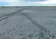 Imagini terifiante cu deșertul apărut în locul lacului Amara care a secat în această vară din cauza temperaturilor extreme din România