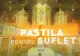 PASTILA PENTRU SUFLET - Pilda zilei