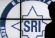 CULISELE STATULUI PARALEL. Generalii SRI care dau spionajul pe afaceri