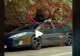 VIDEO – Se întâmplă chiar în România – Un urs devastează o mașină aflată la marginea pădurii