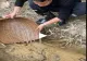 VIDEO – A văzut ceva ciudat pe fundul unui pârâu mic de munte. Fabulos ce a putut să scoată cu ajutorul unui simplu coș de nuiele