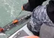 Ajutor în războiul din Ucraina - Marea Britanie trimite DRONE pentru dezamorsarea minelor rusești