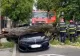 Dorel de pe excavator - Un copac a căzut de DOUĂ ori peste un bolid de lux, în Pitești - Imagini virale