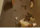 Un restaurant și un supermarket din Giurgiu, închise temporar de ANPC – nereguli grave – FOTO 