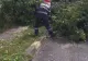Alimentarea cu electricitate, întreruptă în unele zone din Horezu în urma unei furtuni - VIDEO