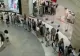 Cozi uriașe în mall-urile din Moscova, după ce un mare retailer a anunțat că se retrage definitiv de pe piață - VIDEO
