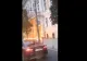 Ușa primăriei din Cluj Napoca a fost cuprinsă de flăcări după ce un piroman a aruncat cu benzină pe ea și i-a dat foc
