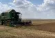 Doi fermieri din Olt își cultivă pământul pe model american. REZULTATELE obținute sunt UIMITOARE