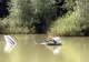 Raportul preliminar în cazul avionului prăbușit în lacul Colibița - Primele rezultate oficiale ale anchetei