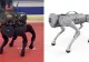 Rușii au prezentat un câine-robot înarmat cu un lansator de rachete. poate fi cumpărat de pe internet de oricine - VIDEO