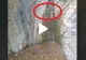 VIDEO – A găsit o cascadă mică pe munte și a auzit zgomote ciudate. Când s-a uitat mai bine nu i-a venit să creadă ce era