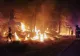 Incendiu de pădure în Germania, după o explozie la un depozit de muniție - FOTO